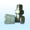 Radiator Valve/Radiator/Brass Radiator Valve