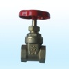 Gate Valve/Brass Gate Valve/Forged Valve