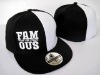 ATTENTION PLEASE,2010 YEAR  NEW ARRIVED FAMOUS HATS / FAMOUS STAR HATS WITH FREESHIPPING!!!