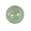 resin button