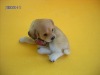 ,Resin Dogs,Polyresin Dog