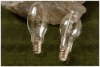 High Pressure Sodium Lamp clear