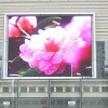 Outdoor Full Color LED Screen