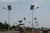 solar street light