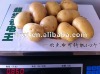 2011 Fresh Chinese potatoes