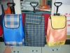 shopping trolley, shopping bag,hand trolley