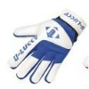 goalkeeper gloves