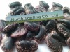 Large Black Speckled kidney bean 2011 crop, Yunnan origin, Hps)