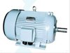 efficiency three-phrase induction motors FX/FDX