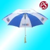 Auto open and close umbrella with wooden handle