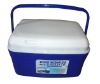 Cooler box, esky