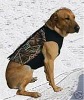 dog vest