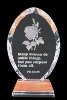 crystal trophy