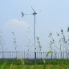 1KW 2KW Wind power system (1000W)