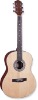 Acoustic Guitar-string instrument-musical instrument