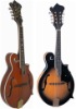 Mandolin-string musical instrument