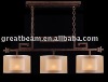 Iron Pendant Lamp/Pendant Lamp/Chandeliers