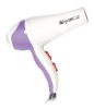 Household hair dryer,hotel hair dryer