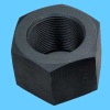 Hex Nuts