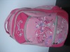 school bag/book bag