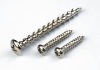 round head screw,selftapping screw