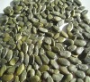 green pumpkin seed kernels (GWS)