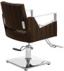 salon chair,salon furniture