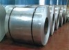 galvanized steel coil