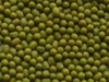 green mung bean