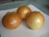 fresh yellow onion