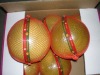 2011 crop pomelo