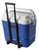 plastic cooler box-36L