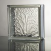 Coral glass brick