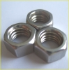 stainless Hex Nuts