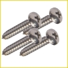 Stainless Steel Tapping Screws