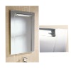 beveled mirror (ZT-LU0020)