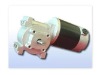 Worm Gear motor (Ce, Rohs)