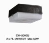 Wall lamp  CH-50HSJ