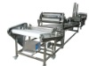 Wy250 New flat rice noodles making machine