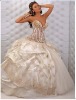 [Super Deal] new 2010 Wedding dress