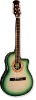 Acoustic Guitar-string instrument-musical instrument