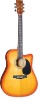 Acoustic Guitar-string instrument-musical instrument