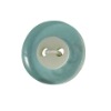 resin button