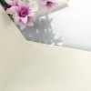 PVC wedding invitation card -- W025A