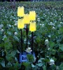 Solar fiber flowers/flower solar light /solar garden light /solar outdoor light