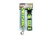 Pet Lead/Dog Lead/Pet Collar/Pet Collar