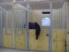 Horse product-Horse Stable