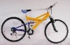 mountain bicycle mountain bike