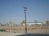 solar garden light