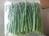 Frozen Asparagus